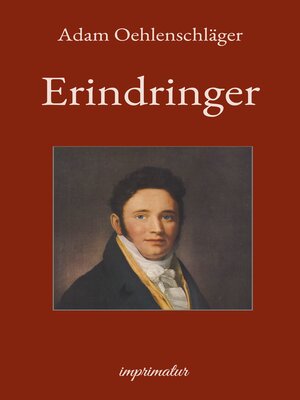 cover image of Erindringer
